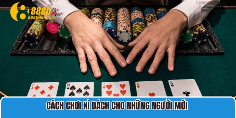 Cách chơi Xì Dách cho những người mới 