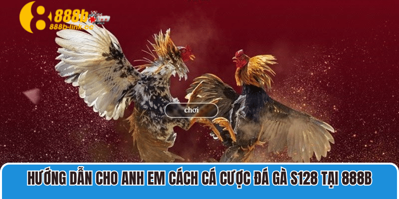 Hướng dẫn cho anh em cách cá cược Đá Gà S128 tại 888B