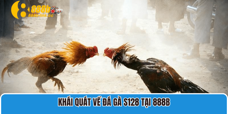 Khái quát về Đá Gà S128 tại 888B